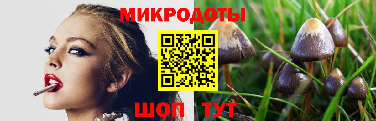 Галлюциногенные грибы MAGIC MUSHROOMS  Вход с VPN  Троицк 